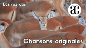 Ecrivez des chansons originales