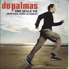 chanson de palmas une seule vie avec les 4 accords