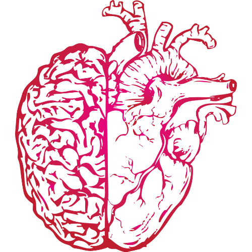 Cœur et cerveau