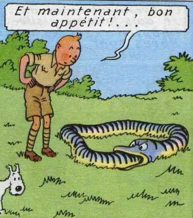 Un thème qui se mord la queue