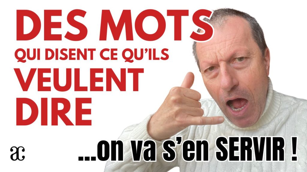Les mots disent ce qu’ils veulent dire !