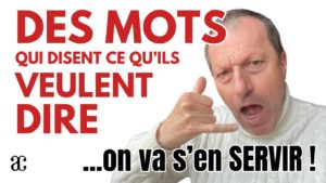 Les mots disent ce qu’ils veulent dire !